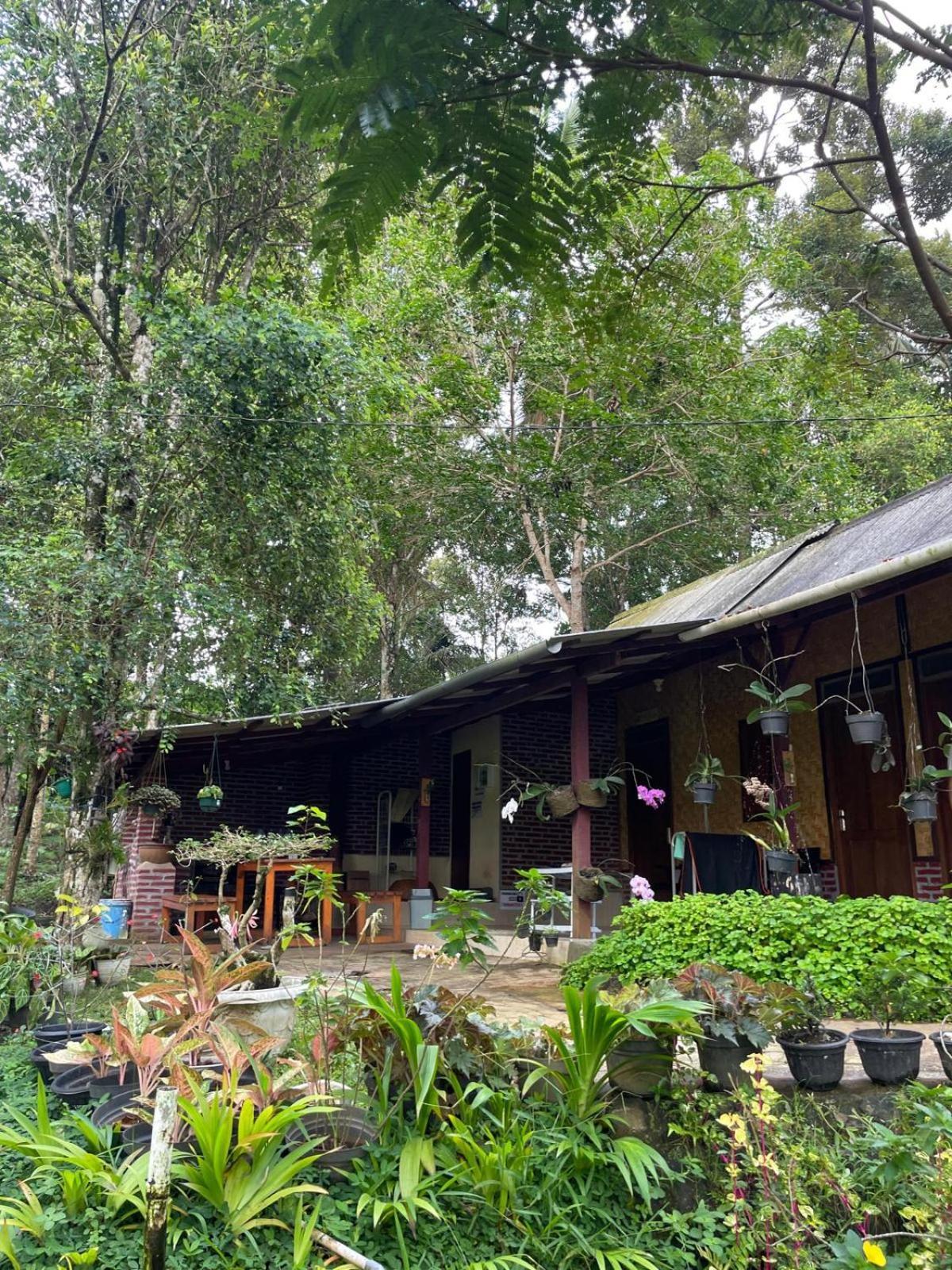 Ijen Farmer Homestay Banyuwangi  Zimmer foto