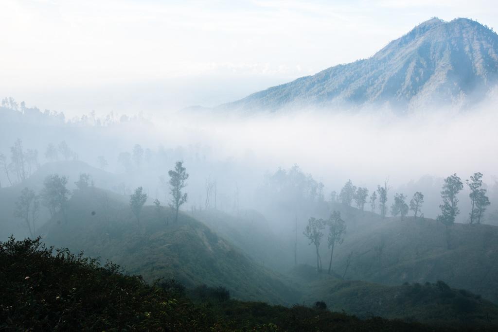 Ijen Farmer Homestay Banyuwangi  Exterior foto