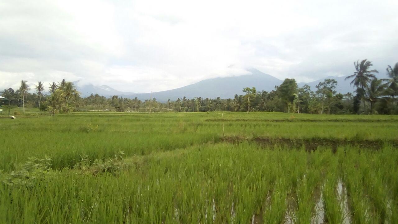 Ijen Farmer Homestay Banyuwangi  Exterior foto