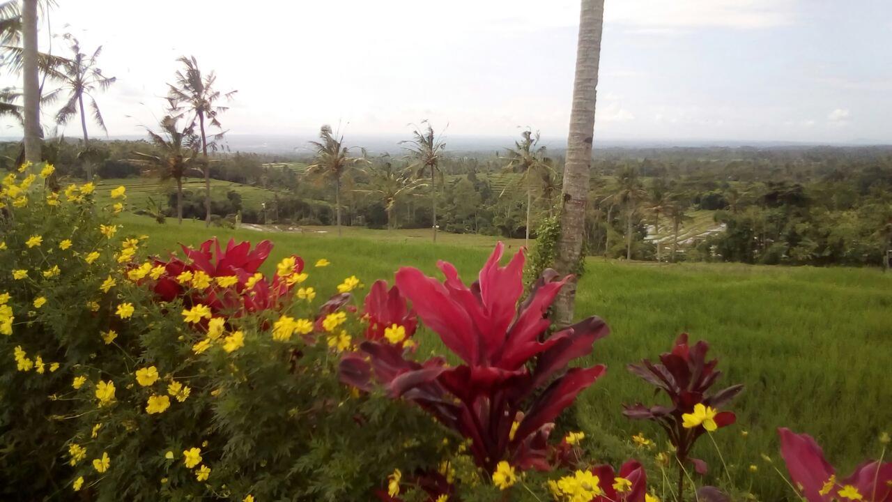 Ijen Farmer Homestay Banyuwangi  Exterior foto